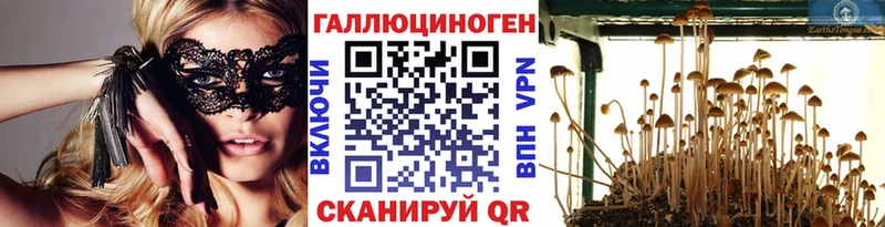 где найти   Пролетарск  гидра маркетплейс  Псилоцибиновые грибы прущие грибы 